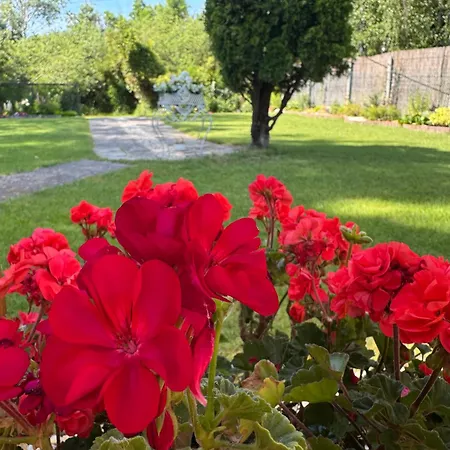 Holiday home Balaton Family With 3 Bedrooms And Private , Private Parking Balatonszarszo